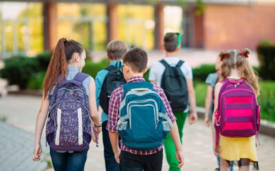 Info o zahájení školního roku 2024/25