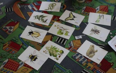 Projektový den ke Dni Země