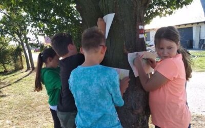 Tematická výuka 3. ročník