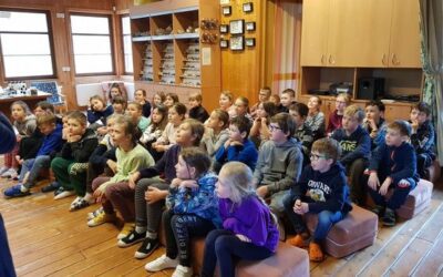 Dřevěný svět – Lipka – 2. roč.