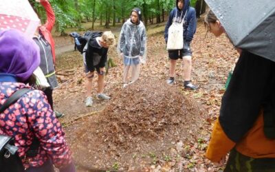 Výukový program pro 5. roč.