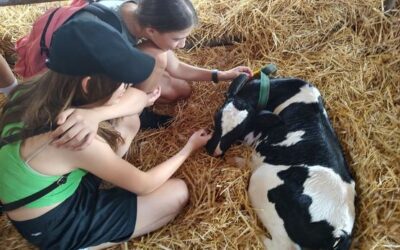 Exkurze do Nové Vsi