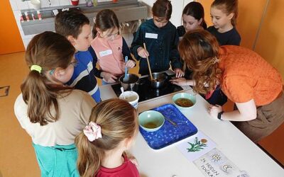 Lipka – Rozmarýnek