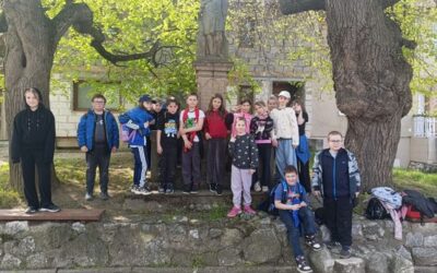 Rostliny cestovatelky